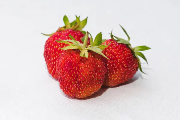 Red Berry Juicy Strawberry Three Ripe Strawberries Strawberry Leaf Isolated — Photo