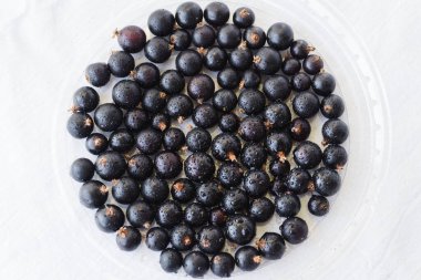 Black berries on white with water drops. Blackcurrants in a transparent bowl isolated on a white background top view. Currant organic berries harvest - healthy eating and food concept
