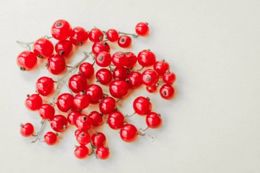 Sprigs of red currant on white background. Fresh bright currant. Sweet juicy currant, organic berries harvest - healthy eating and food concept.