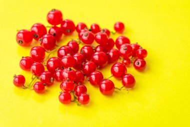 Sprigs of red currant on yellow background. Fresh bright currant. Sweet juicy currant, organic berries harvest - healthy eating and food concept.