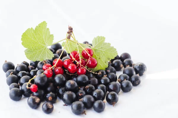 Mix Black Red Currants Water Drops Green Leaves Blackcurrants Redcurrants — Stok fotoğraf