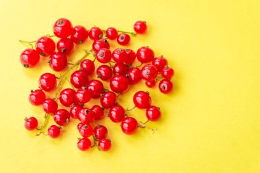 Sprigs of red currant on yellow background. Fresh bright currant. Sweet juicy currant, organic berries harvest - healthy eating and food concept.