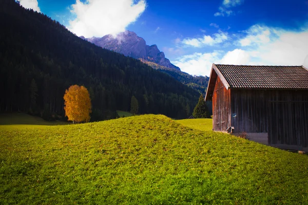 Chalet and tree on lawn — Stock Photo, Image