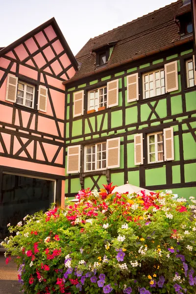 Будинки в рожевому і зеленому кольорі — стокове фото