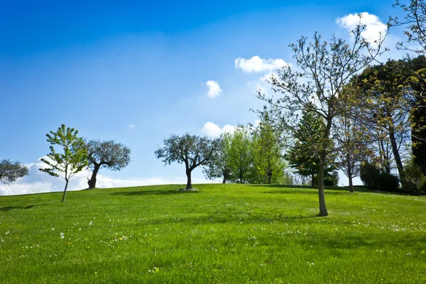 Trädgården av fantasi — Stockfoto