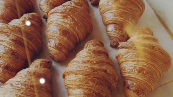 Des croissants français. Vitrine avec croissants classiques dorés frais vue de dessus — Video