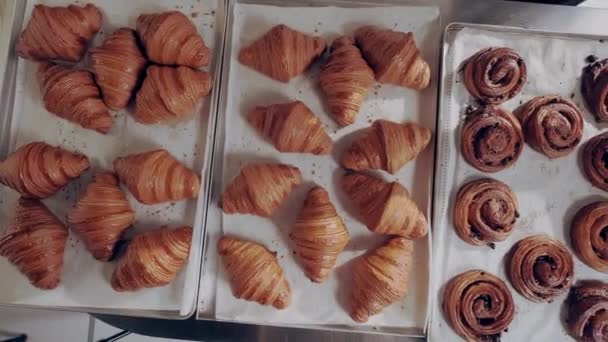 Délicieux produits de boulangerie frais, croissants et petits pains français sur des plaques de cuisson dans la boulangerie. Slider vue du dessus. — Video