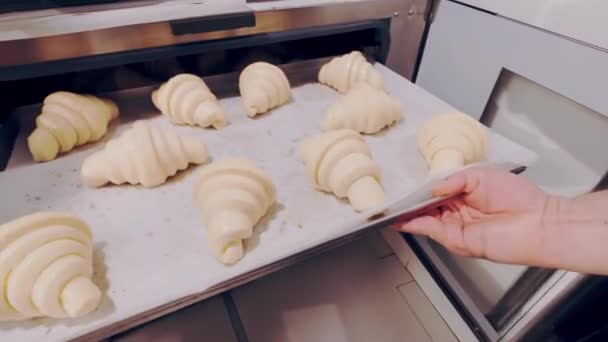 Baker, yalıtıcıdan çiğ kruvasan alıyor ve Combi vapurunda pişirmek için ayarlıyor. Yükselen hamur — Stok video