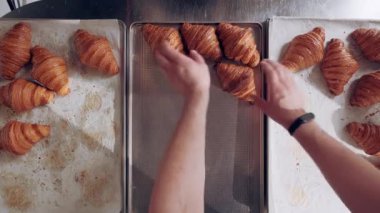 Baker, yeni pişmiş Fransız kruvasanlarını fırın tepsisine koyar. Üst Manzara. Pişirme