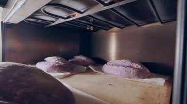 Baker pişirmek için fırına çiğ ekmek koyar. Pişirme üretimi. Çevrim içi tarifler 