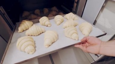 Baker, yalıtıcıdan çiğ kruvasan alıyor ve Combi vapurunda pişirmek için ayarlıyor. Yükselen hamur