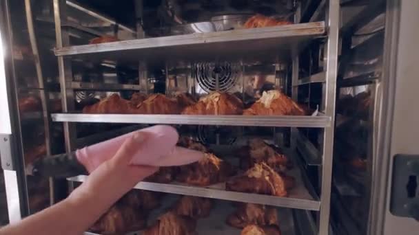 Bäcker holt frisch gebackene mandelgefüllte Croissants aus dem Ofen. Bäckerei — Stockvideo