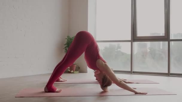 Schöner Yoga. Zwei junge Frauen in roten Sportuniformen bei Adho Mukha Svanasana im Yoga-Studio. — Stockvideo