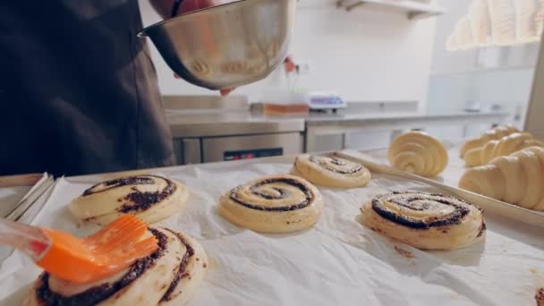 Baker esfrega gema de ovo em pães escargot crus com semente de papoula antes de assar. Processo de cozedura. — Vídeo de Stock