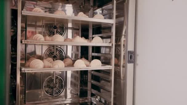 Baker coloca assadeira de croissants crus no forno combinado. Processo de cozedura — Vídeo de Stock