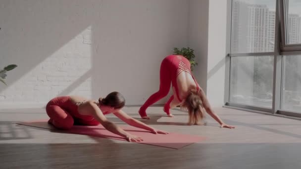 Mujer profesora de yoga ayuda a la estudiante a hacer el Eka Pada Adho Mukha Svanasana correctamente. Errores en el yoga — Vídeos de Stock