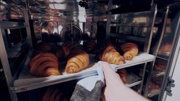 Baker saca croissants clásicos crujientes dorados recién horneados del horno. Panadería — Vídeos de Stock