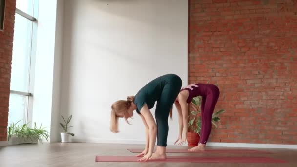Dos mujeres en uniformes deportivos se dedican al yoga en un hermoso estudio. concepto de estilo de vida saludable — Vídeos de Stock