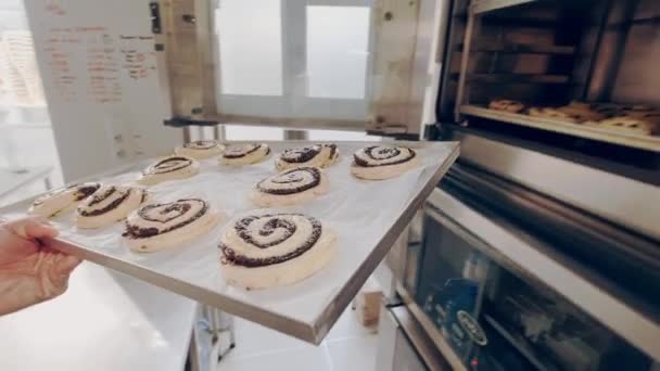 Baker, haşhaş tohumlu çiğ salyangoz çöreklerini fırına koyar. Pişirme süreci — Stok video
