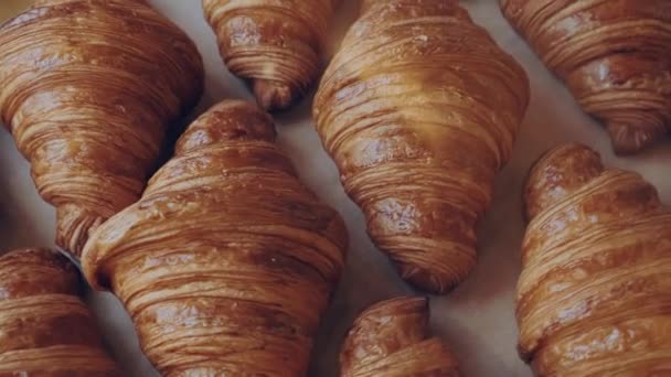 Des croissants français. Vitrine avec croissants classiques dorés frais vue de dessus — Video