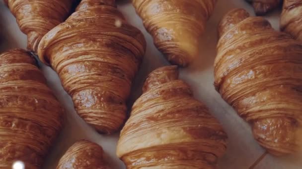 Franse croissants. Vitrine met frisse gouden klassieke croissants bovenaanzicht — Stockvideo