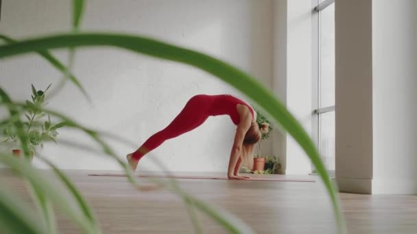 Hermoso yoga. Mujer joven en uniforme deportivo rojo hace suave onda corporal. concepto de estilo de vida saludable — Vídeos de Stock