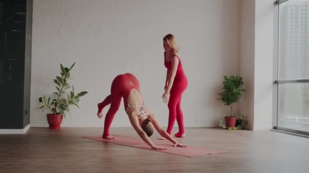 Femme professeur de yoga aide l'élève à faire l'Eka Pada Adho Mukha Svanasana correctement. Erreurs dans le yoga — Video