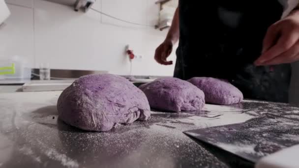 Baker brengt het rauwe broodpaars deeg over naar de bakplaat. Bak- en broodproductie — Stockvideo