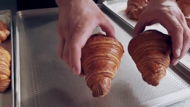 Piekarz umieszcza świeżo upieczone francuskie rogaliki na blasze. Zamknij drzwi. Produkcja pieczenia — Wideo stockowe