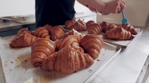 Baker grasse des croissants français fraîchement cuits avec du ghee à la boulangerie. Gros plan — Video