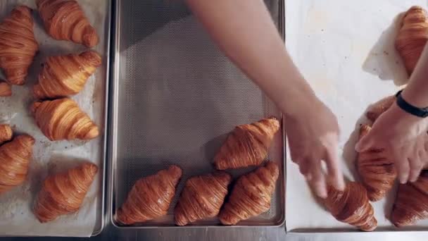 Bäcker legt frisch gebackene französische Croissants auf Backblech. Ansicht von oben. Backproduktion — Stockvideo