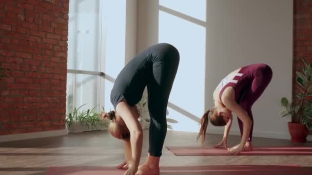 Bonjour, yoga. Deux femmes en uniforme de sport font complexe d'asanas en studio de yoga. Concept de style de vie — Video