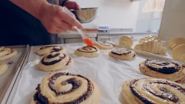 Baker smeert eigeel op rauwe escargot broodjes met maanzaad voor het bakken. Bakproces. — Stockvideo