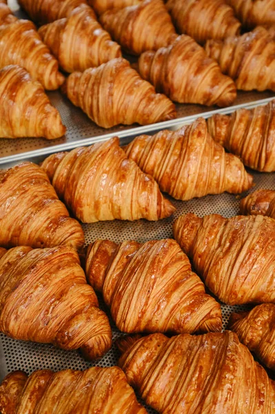 Freshly baked golden French croissants on baking sheet. Fresh classic pastries. Close up