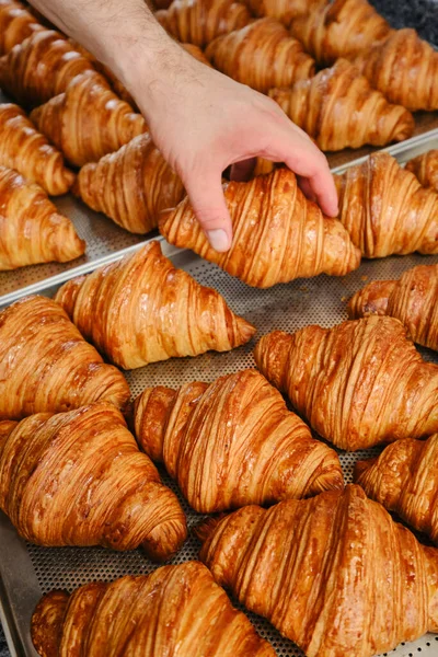 Hand takes fresh golden French croissant from the baking sheet. Fresh classic pastries