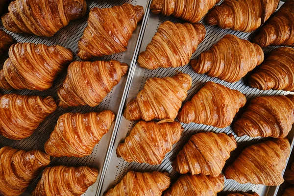 Freshly baked golden French croissants on baking sheet. Fresh classic pastries. Top view