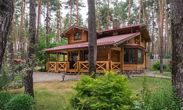 森林里有带凉亭 草坪和水泥人行道的木制房屋 湖边的木房子 高质量的照片 免版税图库照片