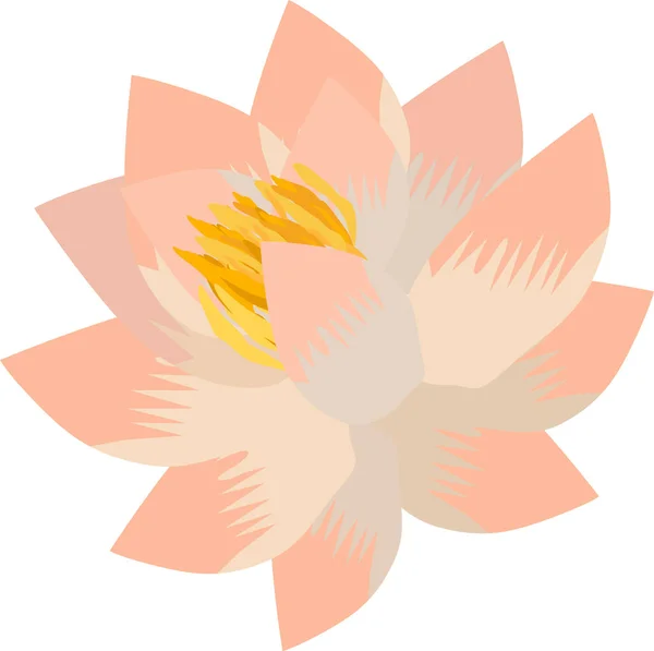 Цветок Водяной Лилии Розовом Векторный Рисунок Изолировать Белом Фоне — стоковый вектор