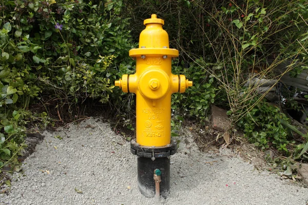 Fire yellow hydrant in the private sector