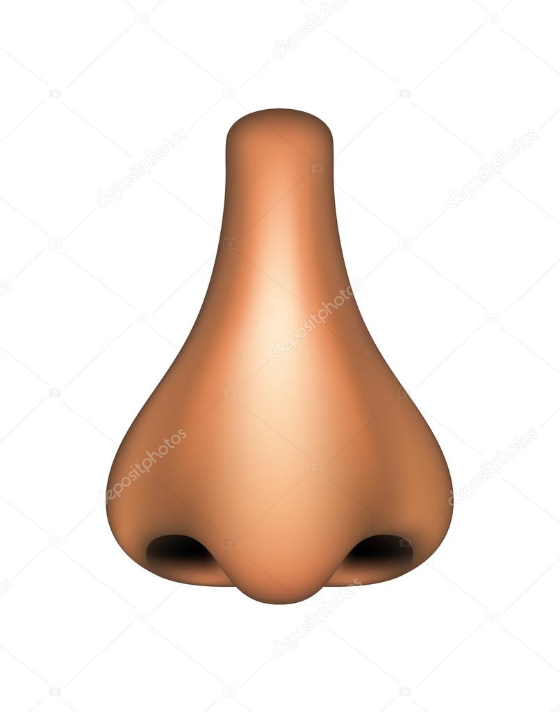 Human nose