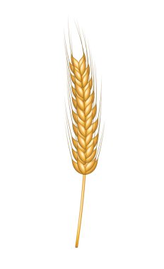 Wheat in gold design clipart