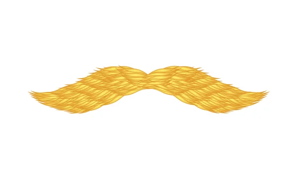 Ginger mustache — Stock Vector