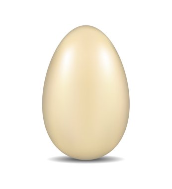 gerçekçi yumurta