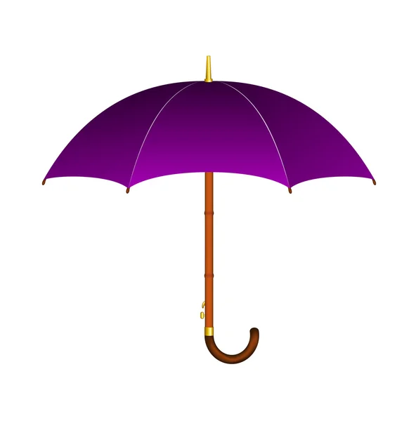 Paarse paraplu — Stockvector