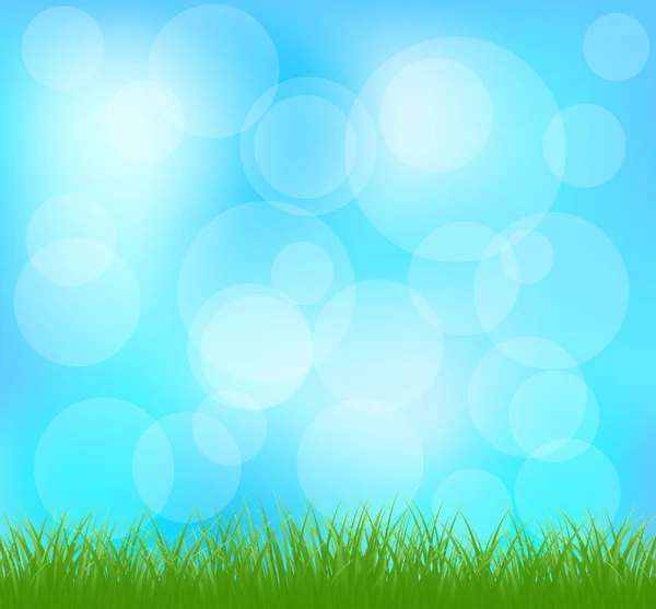 Natural green grass and blue background — Stock Vector