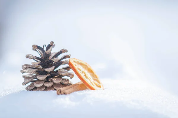 Laranja Seca Pau Canela Cone Pinheiro — Fotografia de Stock