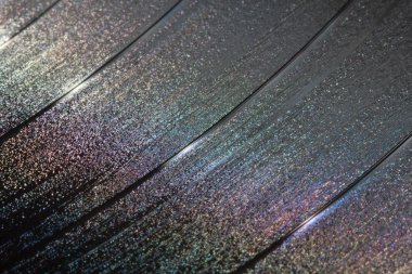 Vinil kayıt bölütü