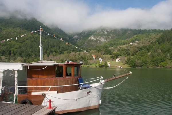 Nava cu motor pe râul Drina — Fotografie, imagine de stoc