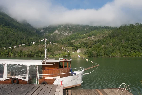 Nava cu motor pe râul Drina — Fotografie, imagine de stoc