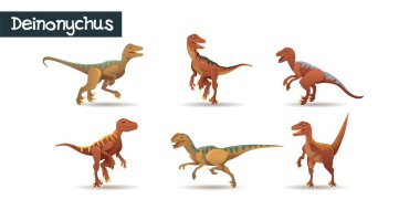 Deinonychus, a realistic looking dinosaur in 6 different poses. Colorful vector illustration of a predator for children clipart